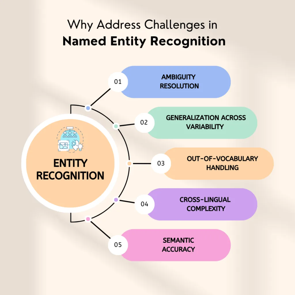 Why Address Challenges in Named Entity Recognition