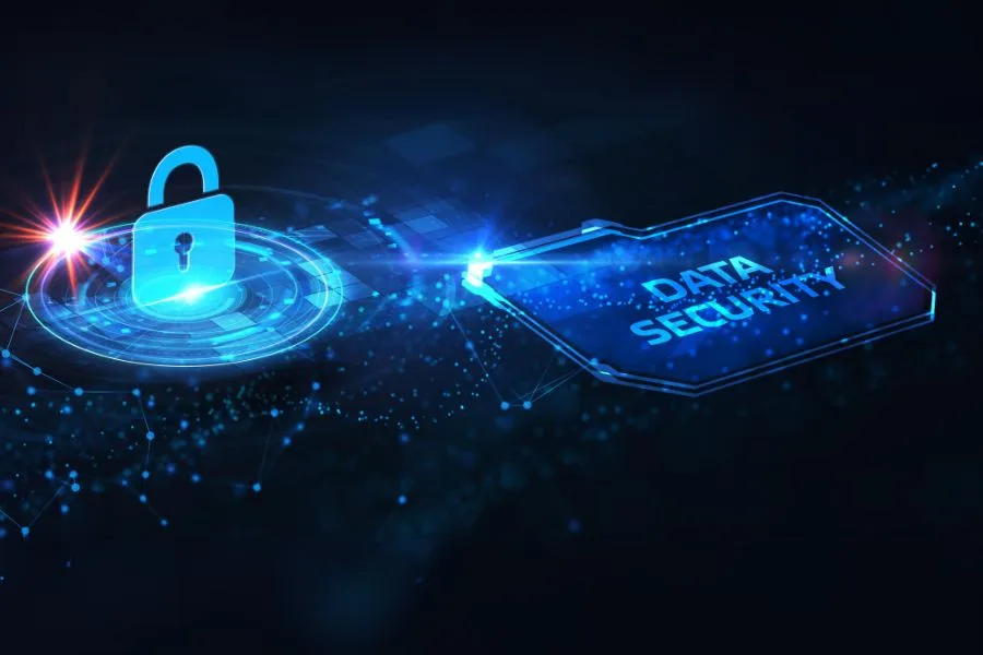 data security vs privacy