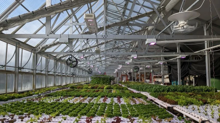 IoT-based smart greenhouses