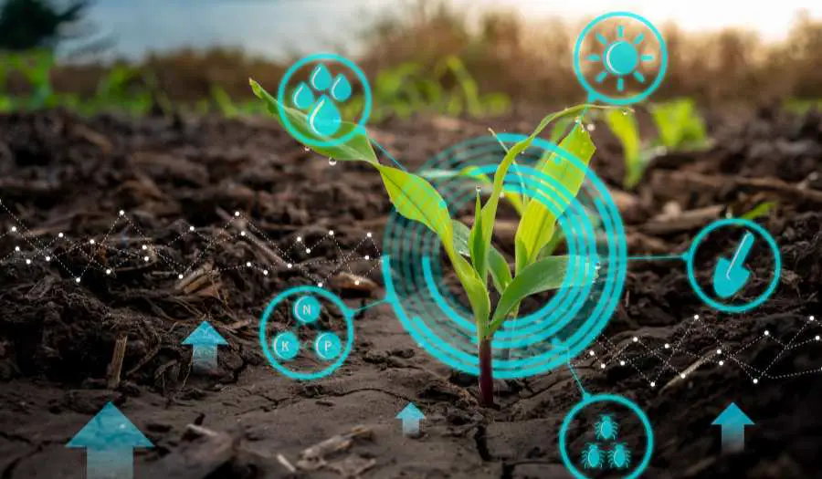 IoT in Precision Agriculture