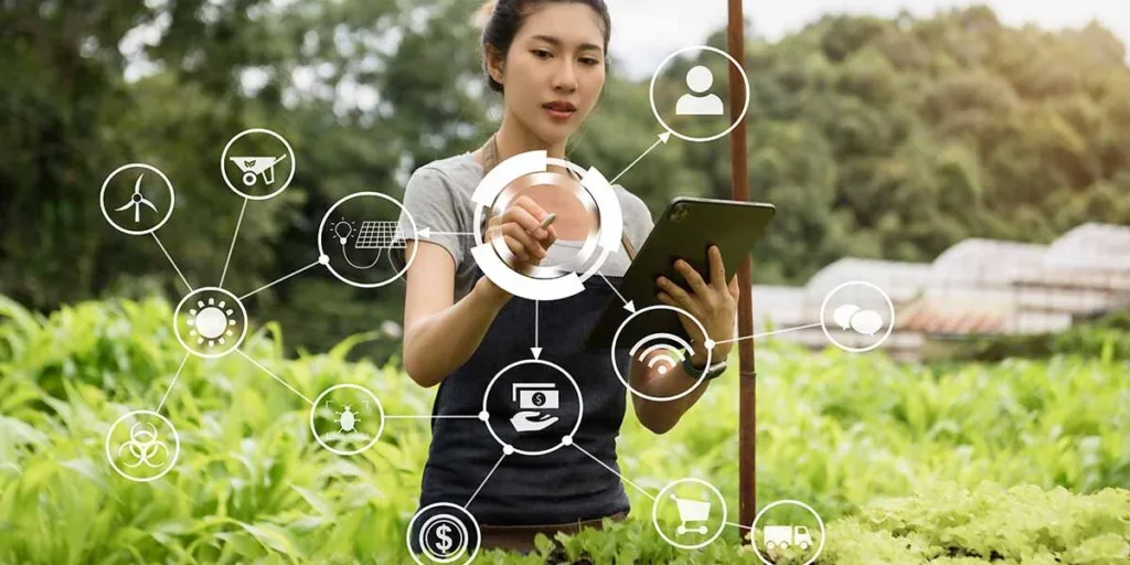 IoT in crop monitoring