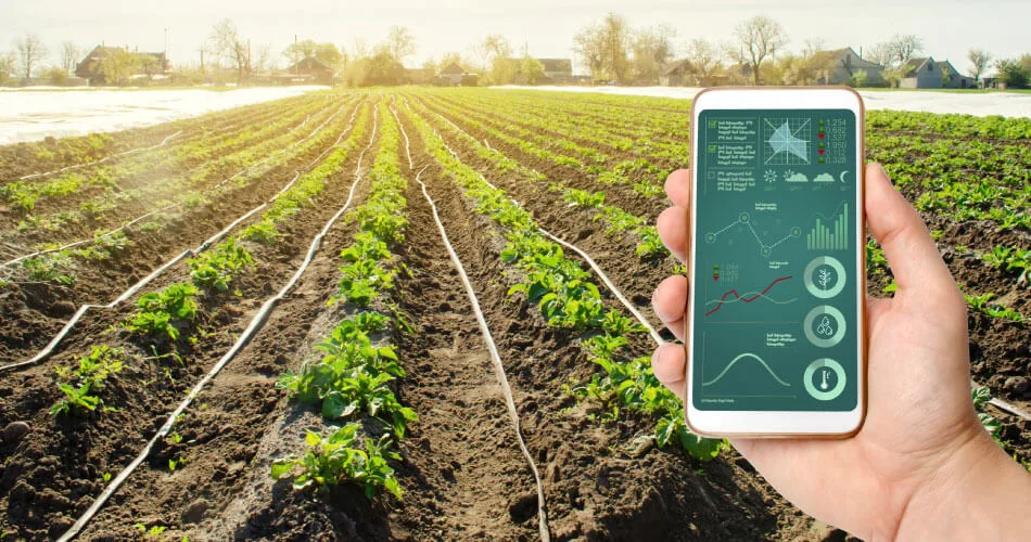 IoT in crop monitoring