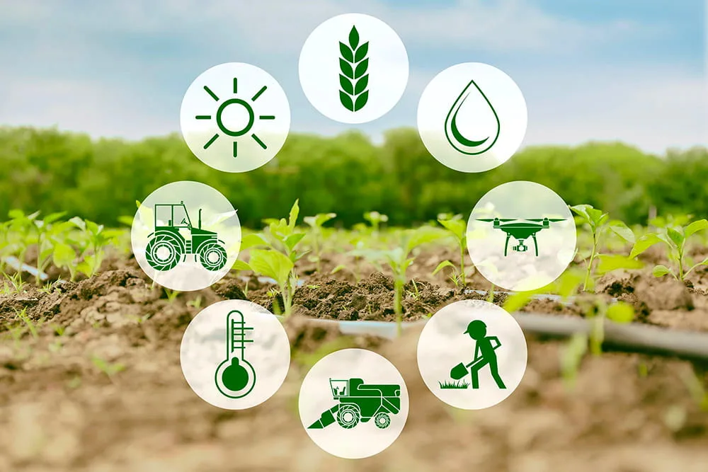 IoT in Precision Agriculture
