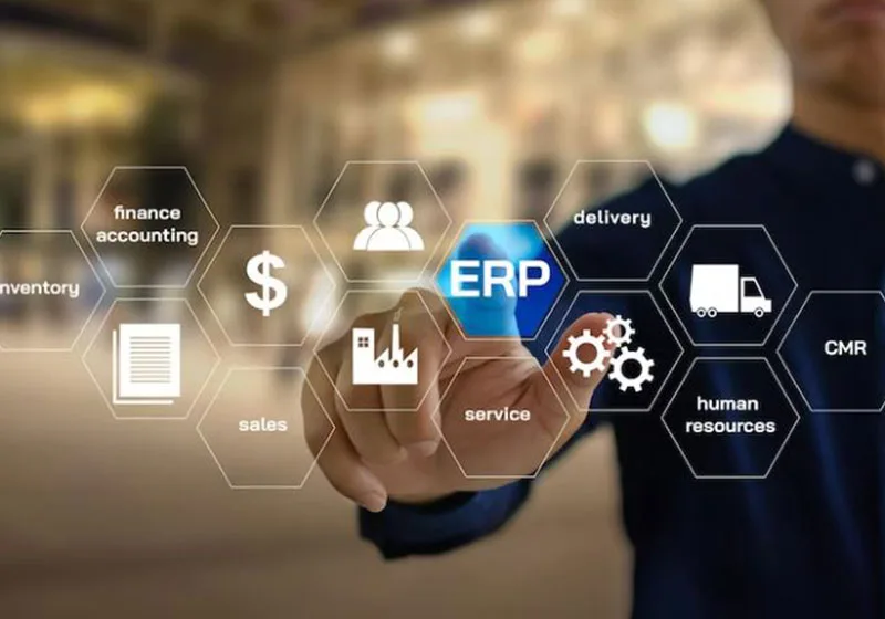 ERP software helps businesses