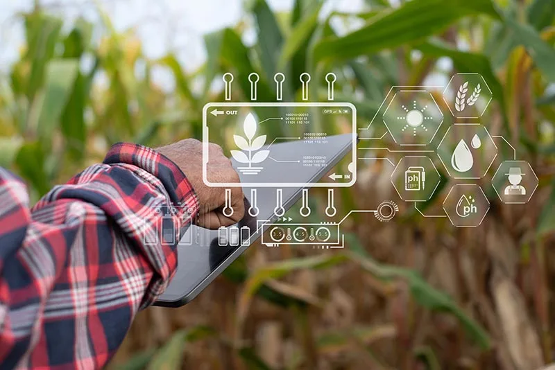 IoT in Precision Agriculture